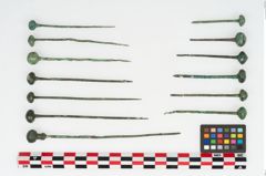 Foto von Bronzekugelkopfnadel (NHMW-PRAE-002315)